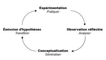 Les quatre phases de l'apprentissage selon Kolb (1984)